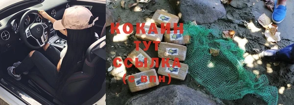 эйфоретик Магас